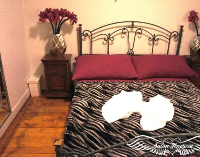 Quarto para acompanhante à venda em Vevey
