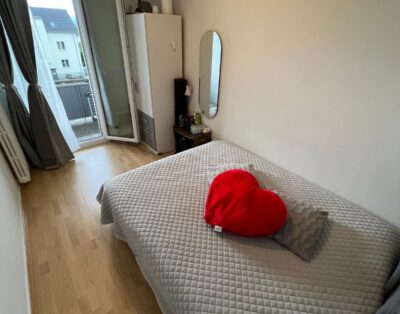 Trabalhe em Royal Night Club, Solothurn, Suíça e comece o seu trabalho legal de prostituição para adultos com acompanhantes